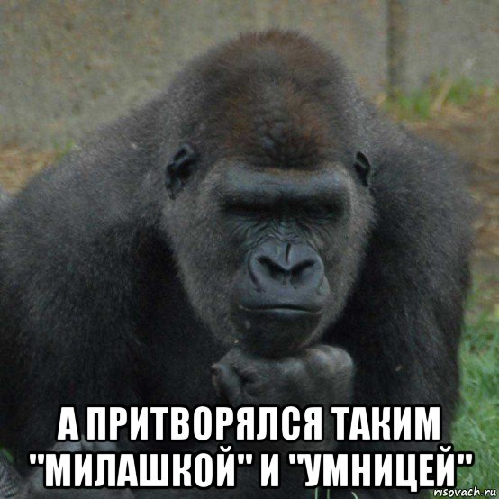  а притворялся таким "милашкой" и "умницей"