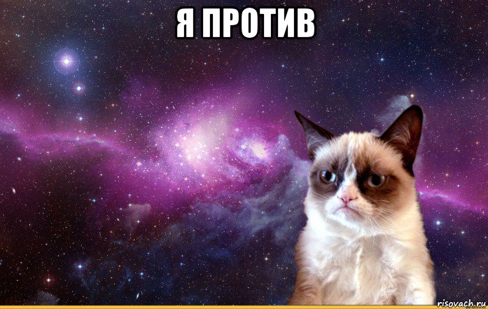 я против , Мем grumpy cat космос