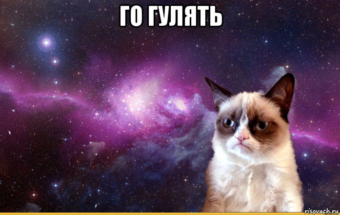 го гулять , Мем grumpy cat космос