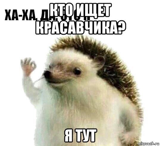 кто ищет красавчика? я тут, Мем Ха-ха да это я