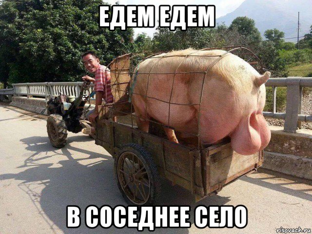 едем едем в соседнее село, Мем Hrjak