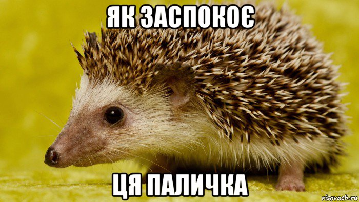 як заспокоє ця паличка