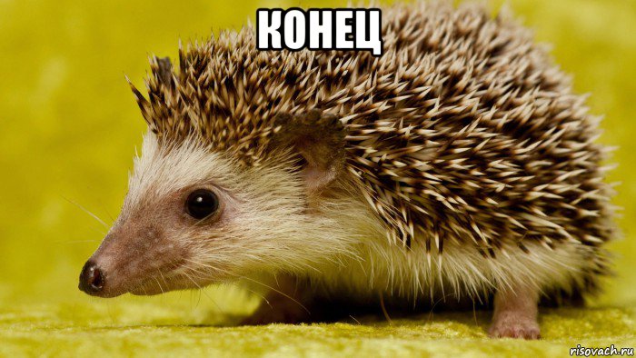 конец 