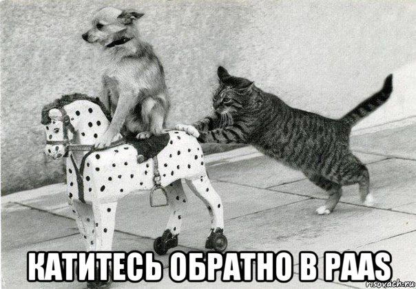  катитесь обратно в paas