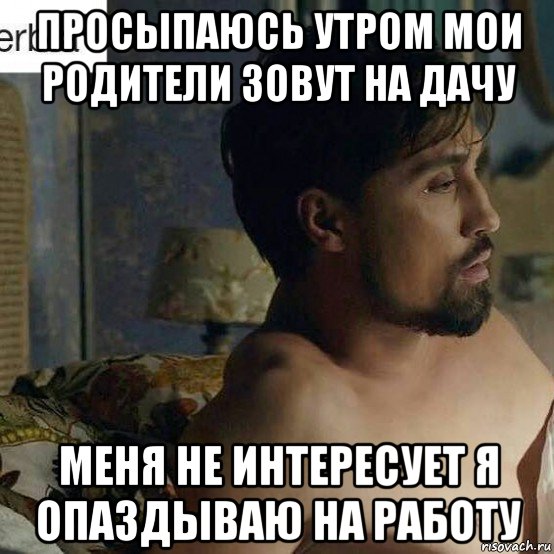 просыпаюсь утром мои родители зовут на дачу меня не интересует я опаздываю на работу