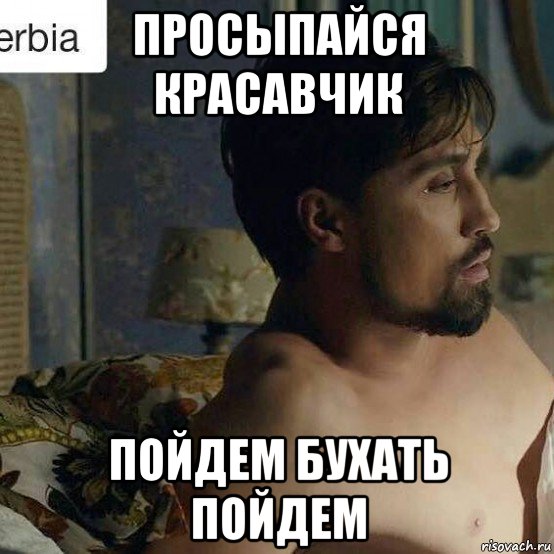 просыпайся красавчик пойдем бухать пойдем