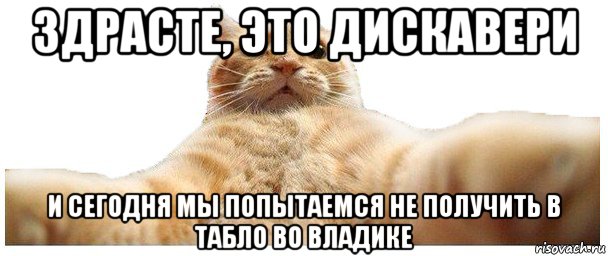 здрасте, это дискавери и сегодня мы попытаемся не получить в табло во владике, Мем   Кэтсвилл