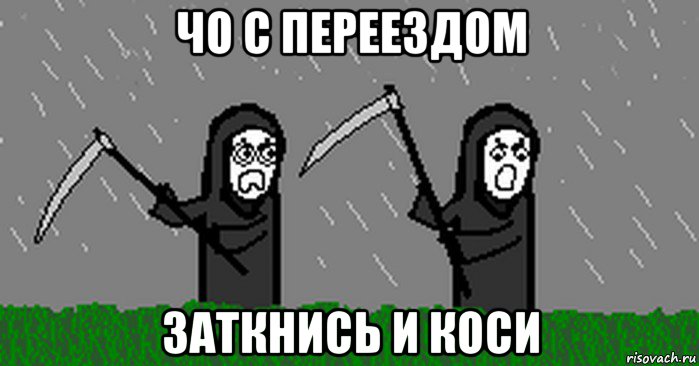 чо с переездом заткнись и коси