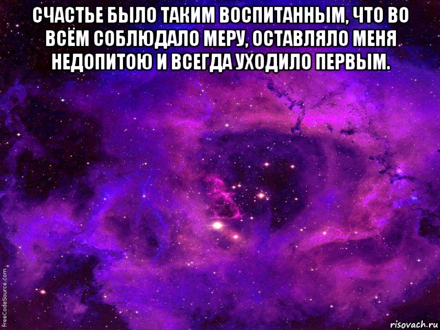 счастье было таким воспитанным, что во всём соблюдало меру, оставляло меня недопитою и всегда уходило первым. 