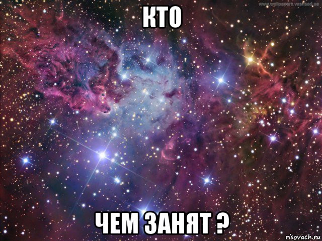 кто чем занят ?