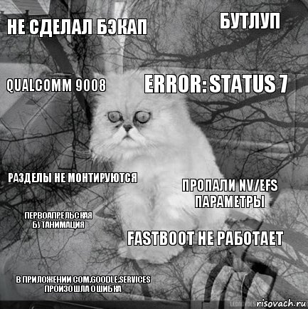 Не сделал бэкап Пропали NV/EFS параметры Error: Status 7 В приложении com.goodle.services произошла ошибка Разделы не монтируются Бутлуп Fastboot не работает Qualcomm 9008 Первоапрельская Бутанимация , Комикс  кот безысходность