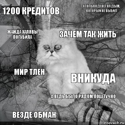 1200 кредитов Вникуда Зачем так жить Везде обман Мир тлен Столько денег на дым, который не выбил А ведь было рядом поштучно Жажда халявы погубила  , Комикс  кот безысходность