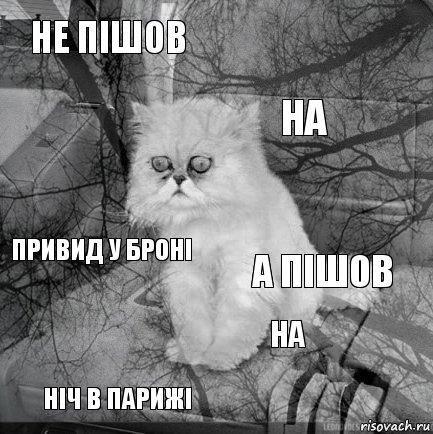 Не пішов а пішов на ніч в парижі Привид у броні  на   , Комикс  кот безысходность