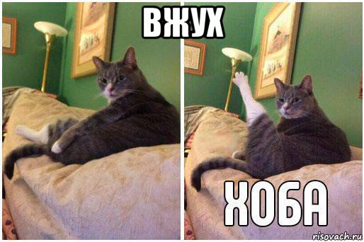 вжух 