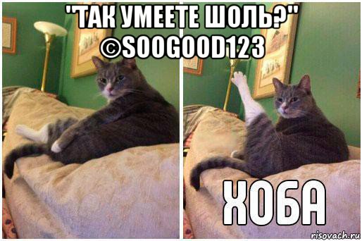 "так умеете шоль?" ©soogood123 , Комикс Кот Хоба