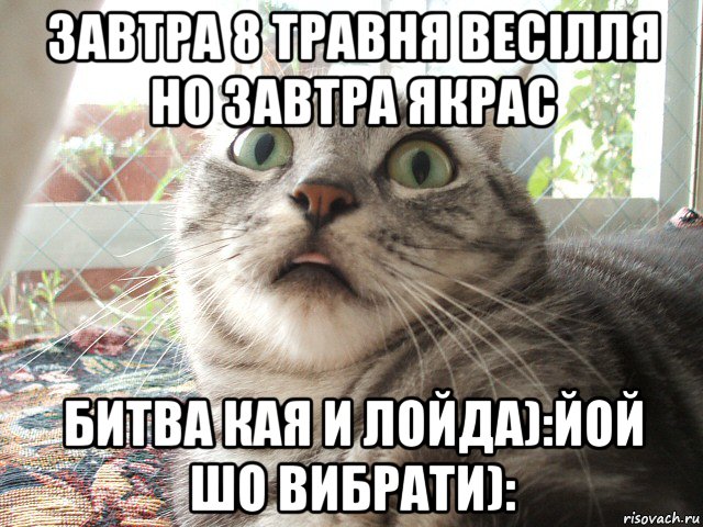 завтра 8 травня весілля но завтра якрас битва кая и лойда):йой шо вибрати):