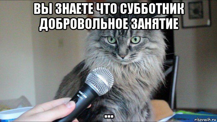 вы знаете что субботник добровольное занятие ...