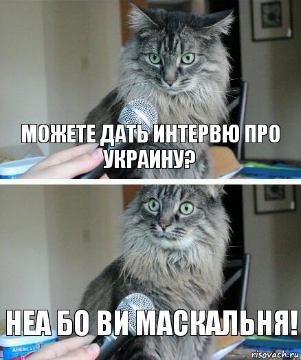 Можете дать интервю про Украину? Неа бо ви маскальня!, Комикс  кот с микрофоном