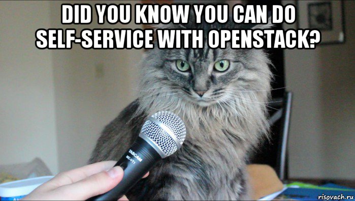 did you know you can do self-service with openstack? 