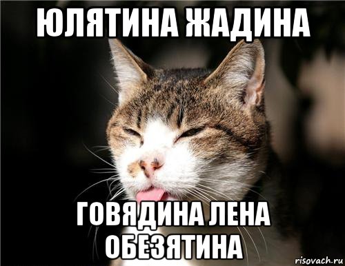 юлятина жадина говядина лена обезятина, Мем кот с языком