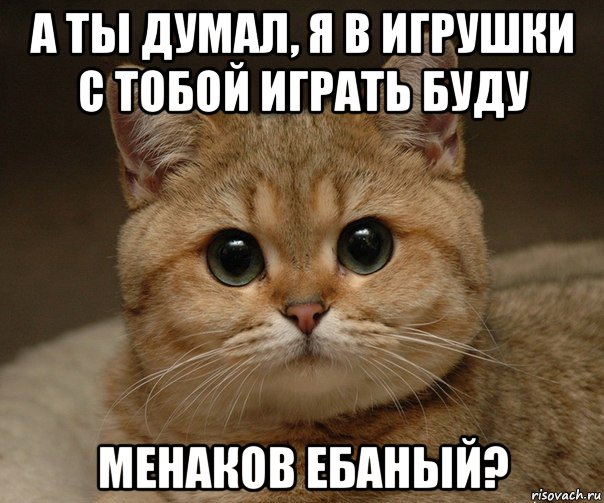 а ты думал, я в игрушки с тобой играть буду менаков ебаный?
