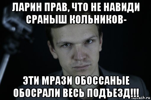 ларин прав, что не навиди сраныш кольников- эти мрази обоссаные обосрали весь подъезд!!!