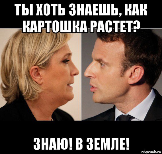 ты хоть знаешь, как картошка растет? знаю! в земле!