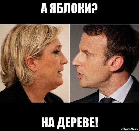 а яблоки? на дереве!