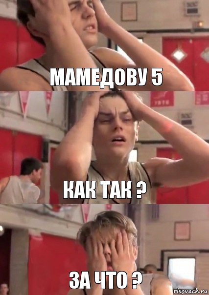 мамедову 5 как так ? за что ?