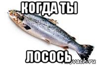 когда ты лосось