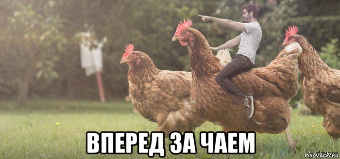  вперед за чаем