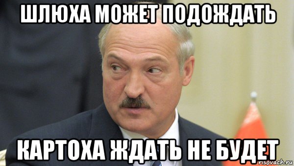 шлюха может подождать картоха ждать не будет, Мем Лукашенко