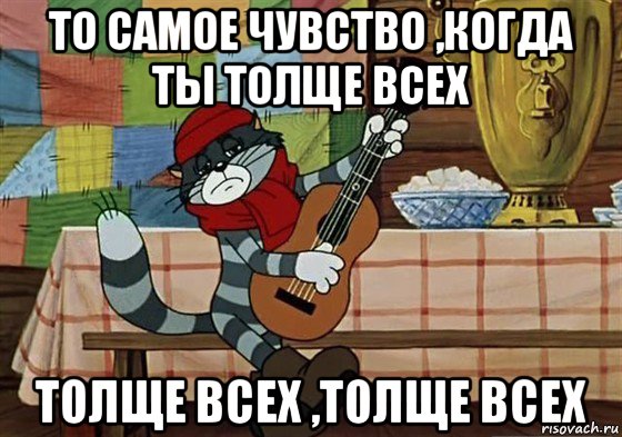 то самое чувство ,когда ты толще всех толще всех ,толще всех, Мем Грустный Матроскин с гитарой