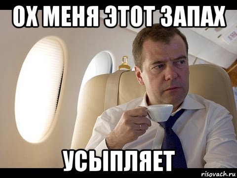 ох меня этот запах усыпляет, Мем Медведев спот