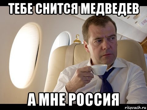 тебе снится медведев а мне россия