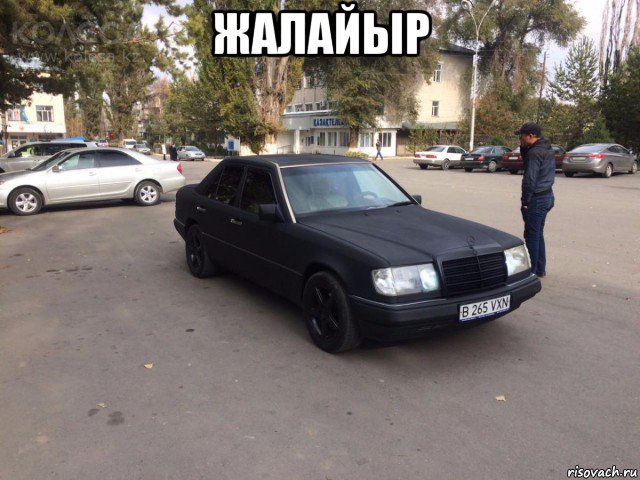 жалайыр 