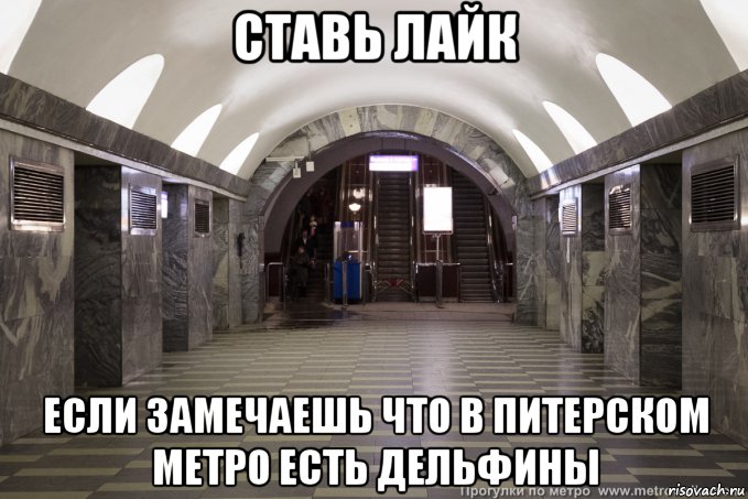 ставь лайк если замечаешь что в питерском метро есть дельфины