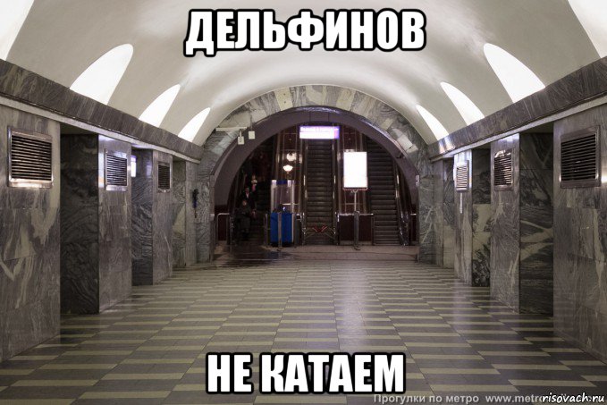 дельфинов не катаем