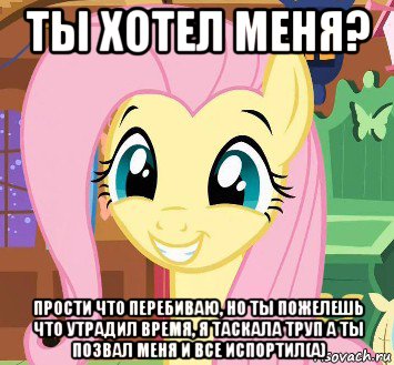ты хотел меня? прости что перебиваю, но ты пожелешь что утрадил время, я таскала труп а ты позвал меня и все испортил(а)