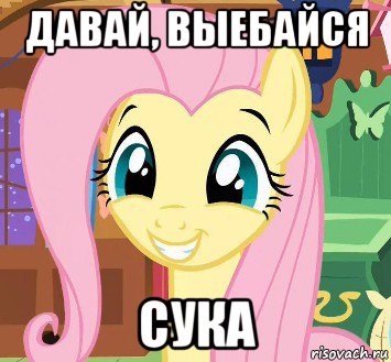 давай, выебайся сука
