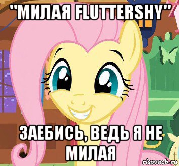 "милая fluttershy" заебись, ведь я не милая