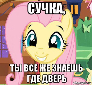 сучка, ты все же знаешь где дверь