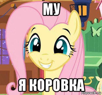 му я коровка