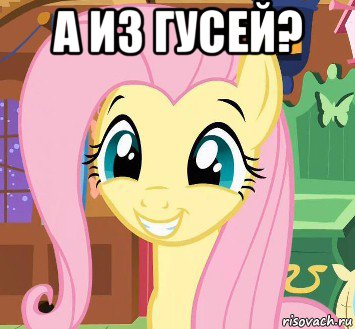 а из гусей? 