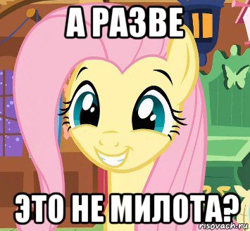 а разве это не милота?