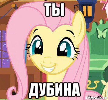 ты дубина