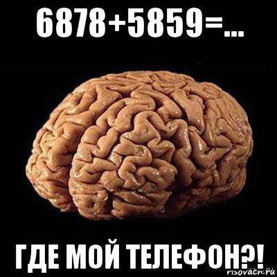 6878+5859=... где мой телефон?!, Мем мозг