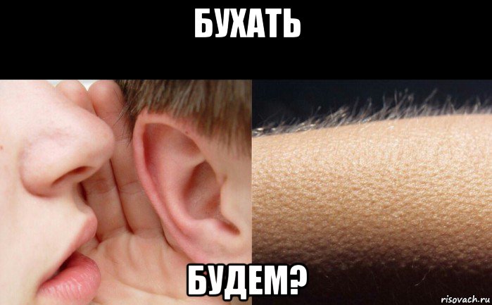 бухать будем?
