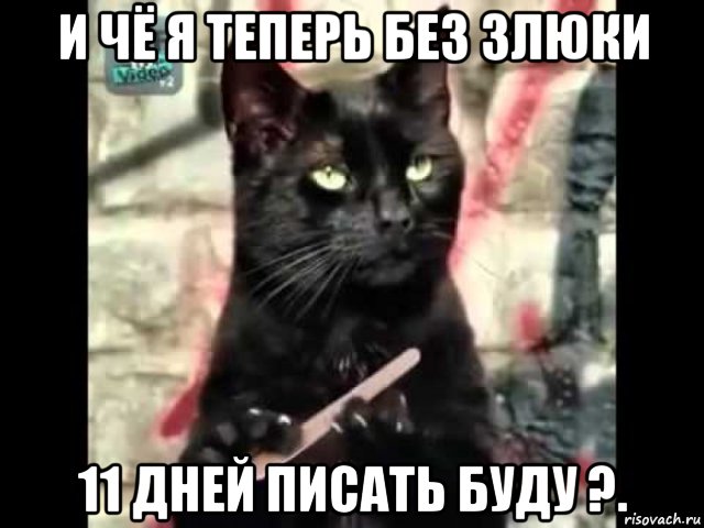 и чё я теперь без злюки 11 дней писать буду ?.