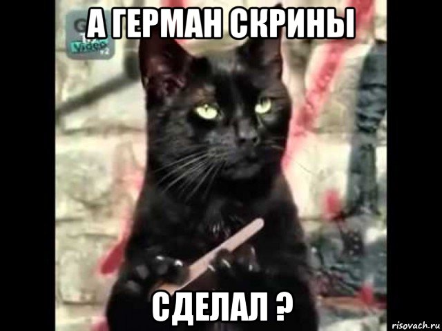 а герман скрины сделал ?